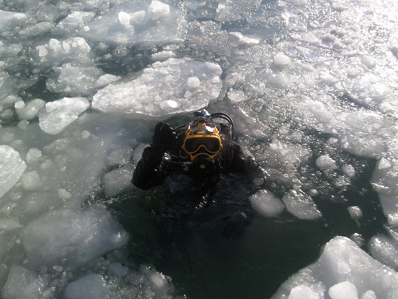 diver, ice diving, diving